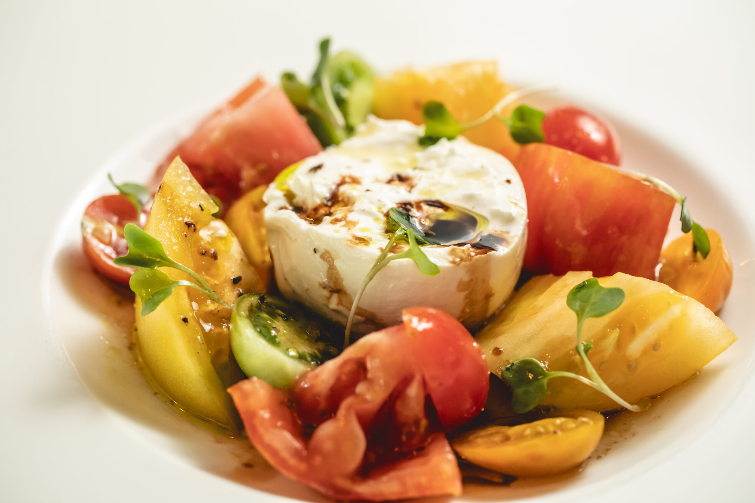 Miami Spice_Scarpetta_Burrata (1)